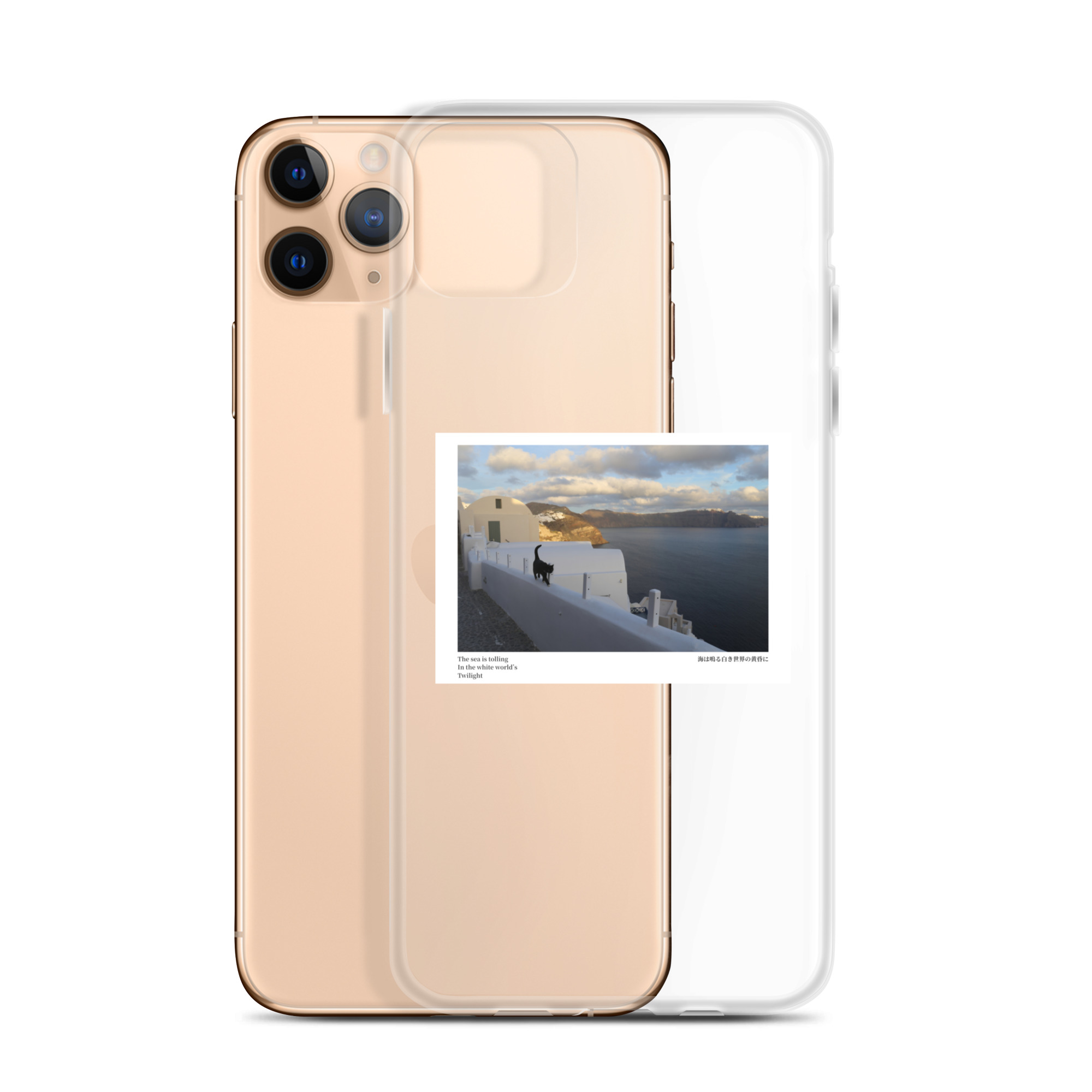 Clear Case for iPhone®: White World