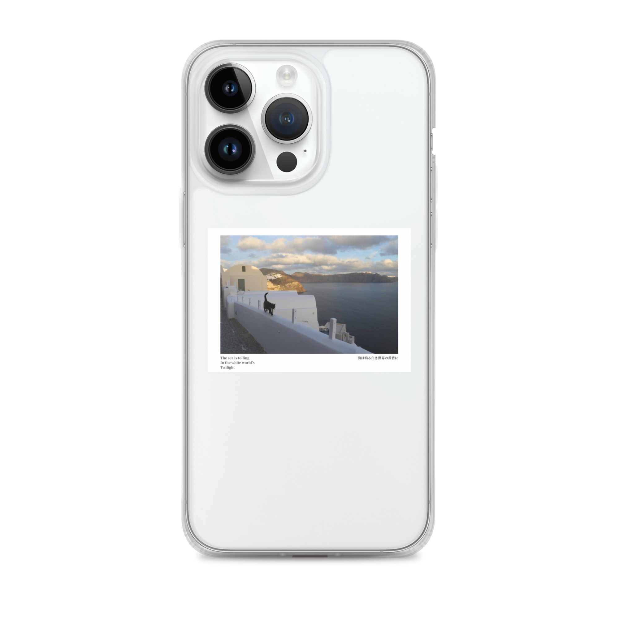 Clear Case for iPhone®: White World - Image 25