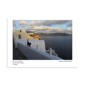 Poster: White World