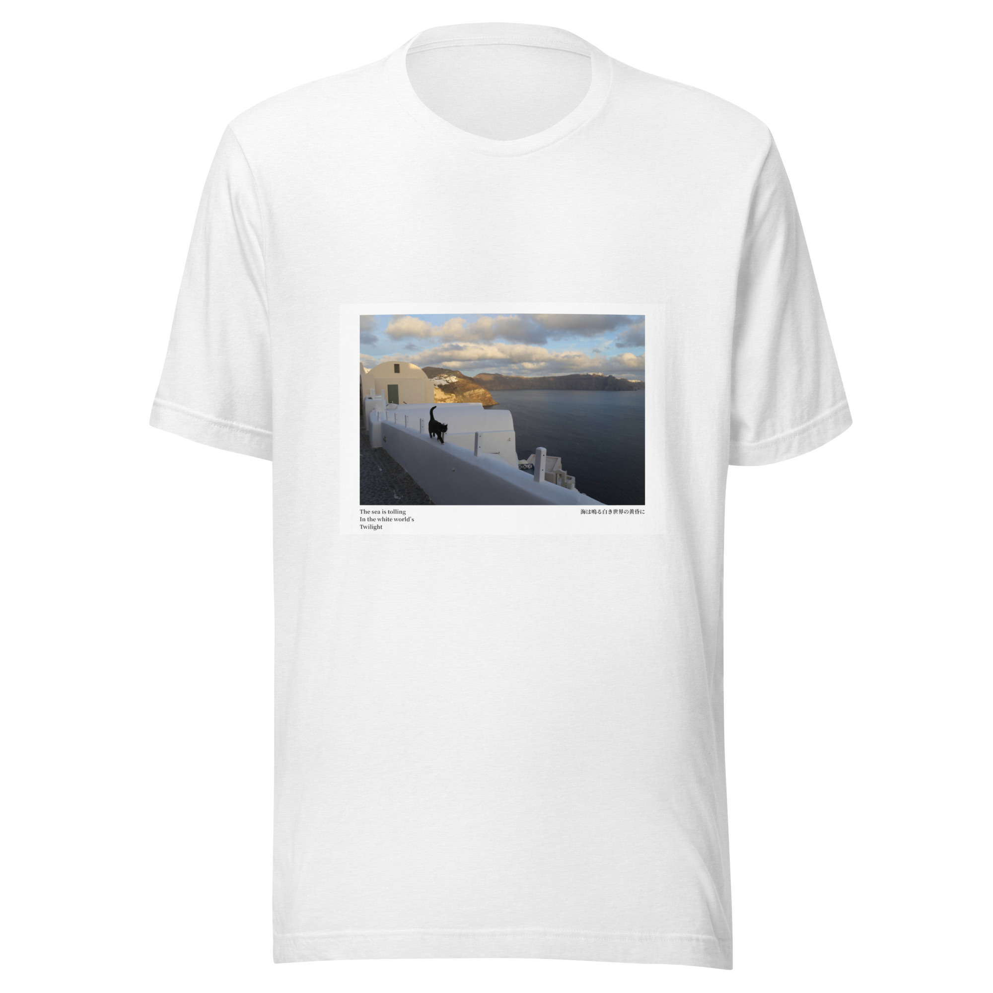 Unisex t-shirt: White World